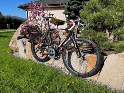 Merida Scultura 905