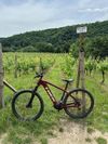 Trek Powerfly 7 Gen 4