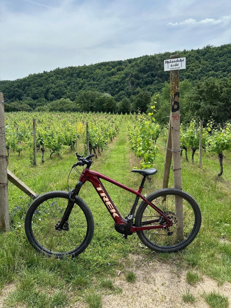 Trek Powerfly 7 Gen 4