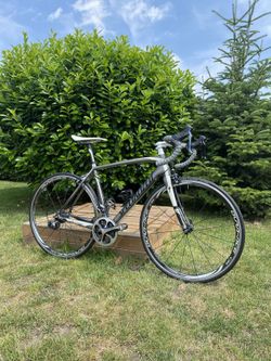 Silniční kolo Specialized Tarmac Elite