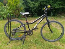 AMULET Tomcat 24"