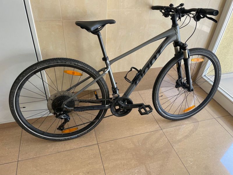 Giant Roam Disc 0