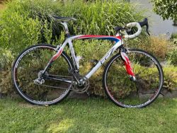 Pinarello Carbon