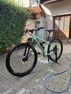 Specialized Rockhopper 29” M