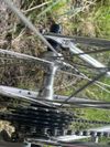 Dancelli silniční turistika | Shimano 600