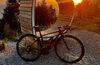 Cinelli Saeta xs celokarbon