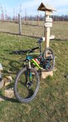 Giant Anthem SX2