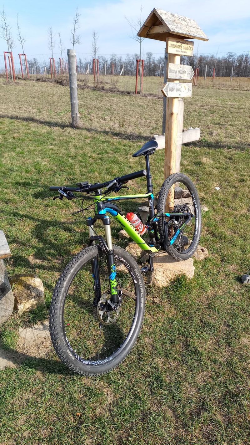 Giant Anthem SX2