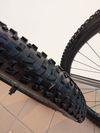 Trek Alex MD35 Boost, Maxxis Rekon EXO 29 x 2,6