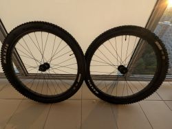 Trek Alex MD35 Boost, Maxxis Rekon EXO 29 x 2,6