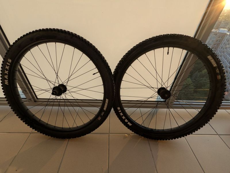 Trek Alex MD35 Boost, Maxxis Rekon EXO 29 x 2,6