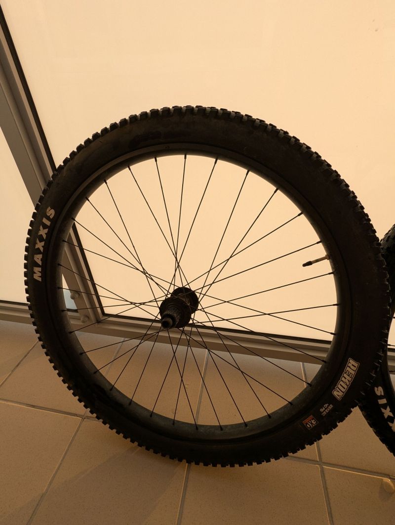 Trek Alex MD35 Boost, Maxxis Rekon EXO 29 x 2,6