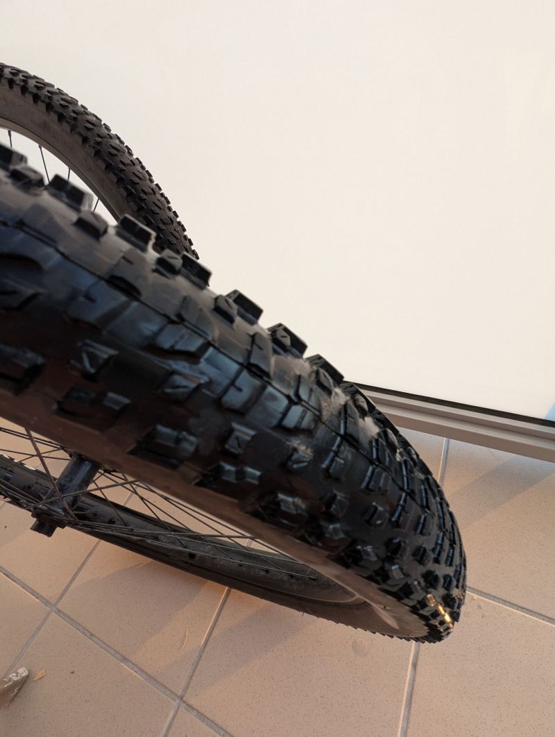 Trek Alex MD35 Boost, Maxxis Rekon EXO 29 x 2,6