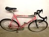 Bianchi Caurus.