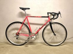 Bianchi Caurus.