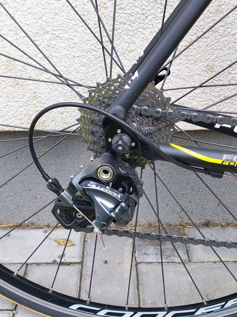 Focus Culebro, vel.M, Ultegra
