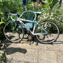 Bianchi Dama bianca