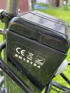 Dillenger Cheetah 250W elektrické kolo, baterie 12Ah 288Wh