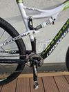 CANNNDALE Scalpel 29 Carbon Team