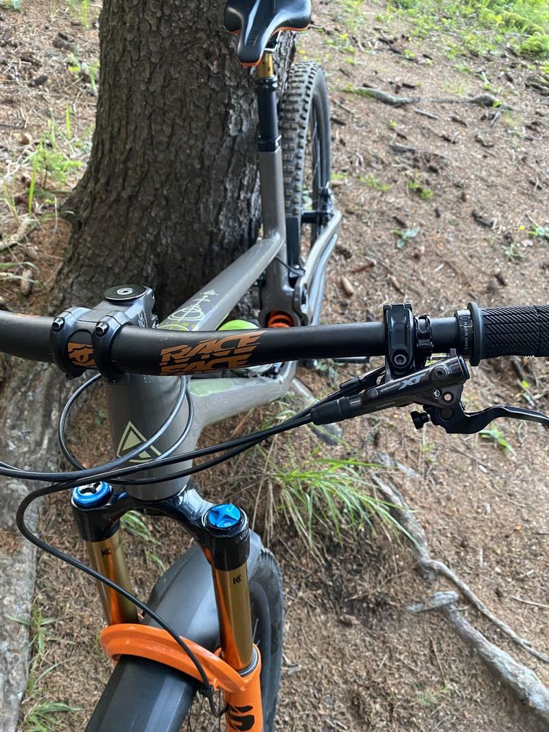 Forbidden Druid v1 XL