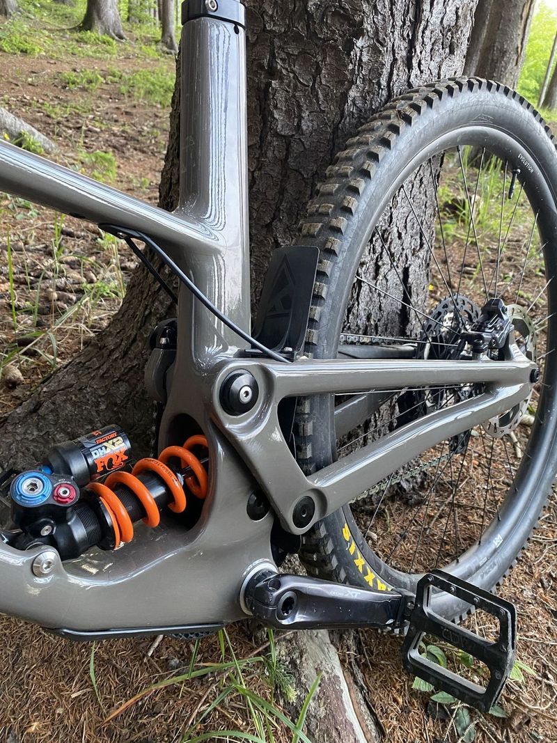 Forbidden Druid v1 XL