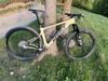 Ghost Lector SF LC Advanced