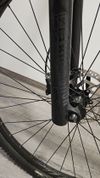 Focus Whistler 3.9 2020