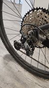 Focus Whistler 3.9 2020