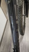 Focus Whistler 3.9 2020
