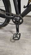 Focus Whistler 3.9 2020