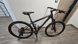 Focus Whistler 3.9 2020