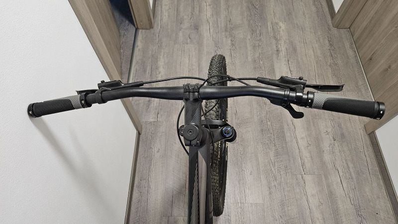 Focus Whistler 3.9 2020
