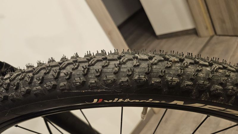 Focus Whistler 3.9 2020