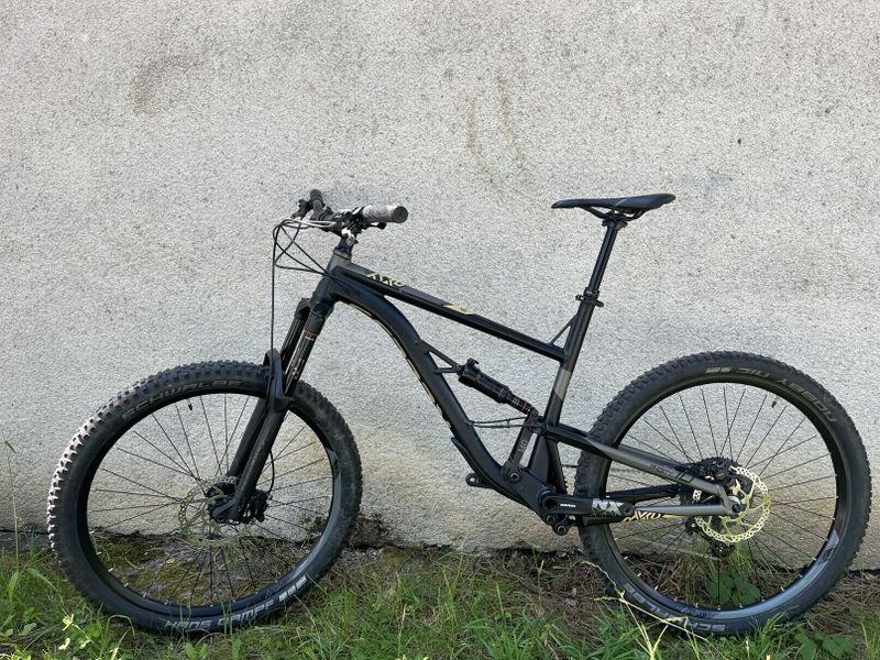 Kellys Thorx 10 L