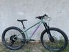 Santa Cruz Chameleon S