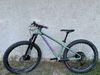 Santa Cruz Chameleon S