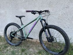 Santa Cruz Chameleon S