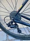 Pells Roar Campagnolo 11s