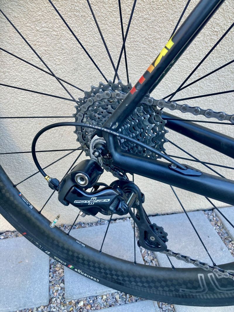 Pells Roar Campagnolo 11s