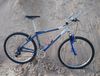 MTB Author Solution SX, 26"/17", 8x3r 