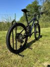 Trek Remedy 8 2022