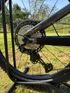 Trek Remedy 8 2022