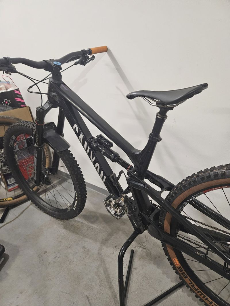 Canyon Torque CF 29 M