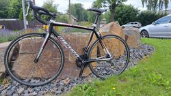 Merida Race Lite 905