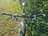 Specialized Jett Expert 29 šedá/bílá/zelená