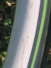Specialized Jett Expert 29 šedá/bílá/zelená