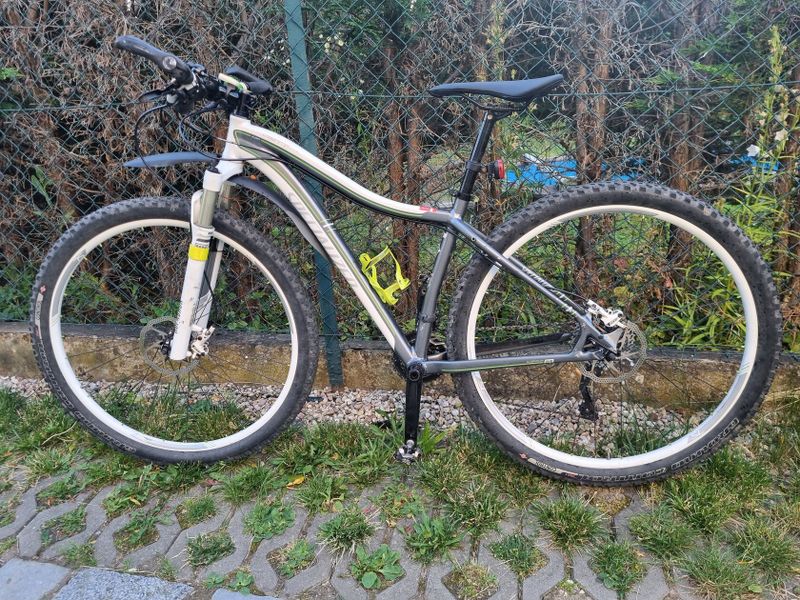 Specialized Jett Expert 29 šedá/bílá/zelená