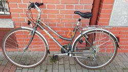 Rock Machine Trekkride 250