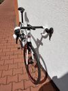 Prodám silničku CECCOTTI velikost 56, kotouče / Shimano Ultegra 2/11