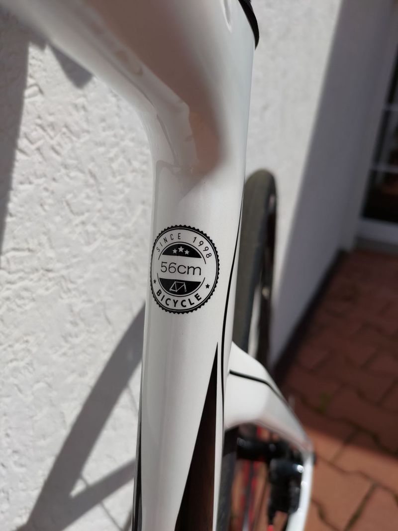 Prodám silničku CECCOTTI velikost 56, kotouče / Shimano Ultegra 2/11